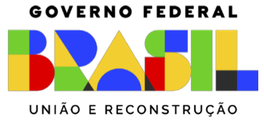 Governo Federal - União e Reconstrução